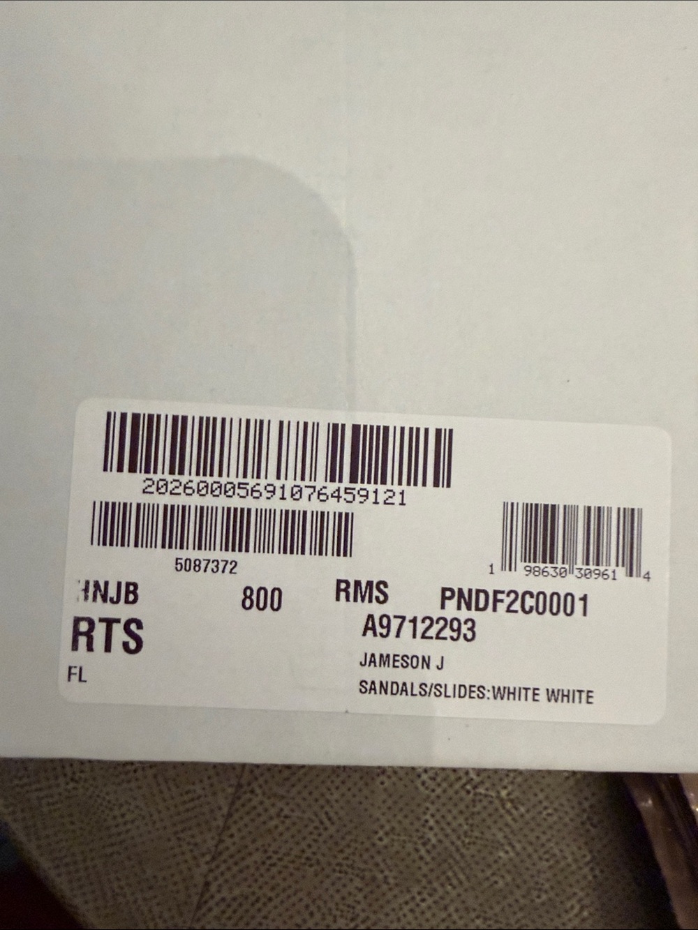 NIB~NWT DV by Dolce Vita JAMESON White Thong Sandals with Gold Medallion Accent - Picture 10 of 10